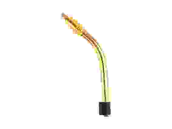 Гусак (MS 36) ICZ0089