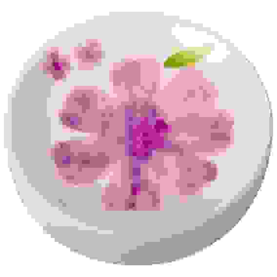 АКЦИЯ! Мыльница \"Анемона\" SD-ANE