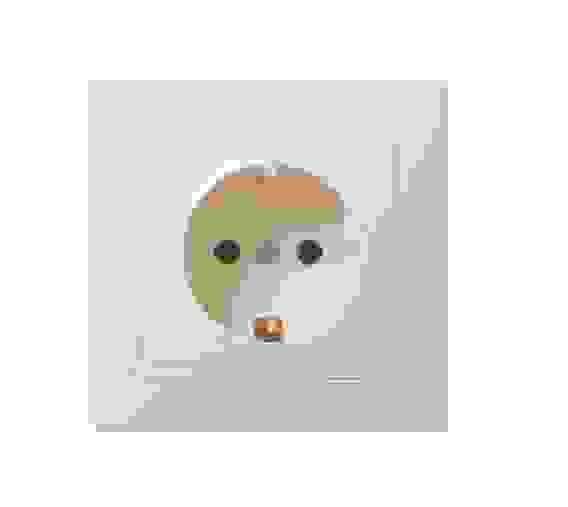 КВАРТА Розетка без заземления без шторок бежевая в сборе