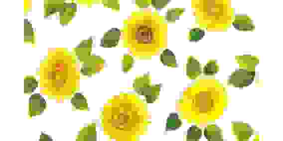 Самоклеющаяся пленка ПВХ принты 45см*8м*0,08мм рис.P583