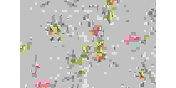 Самоклеющаяся пленка ПВХ принты 45см*8м*0,08мм рис.P687