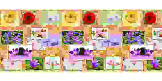 Термоскатерть двухсторонняя DOUBLE