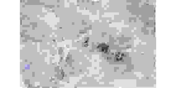 Самоклеющаяся пленка ПВХ мрамор 45см*8м*0,08мм рис.MR202-3