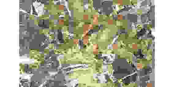 Самоклеющаяся пленка ПВХ мрамор 67,5см*8м*0,08мм рис.MR225-1