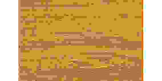 Самоклеющаяся пленка ПВХ дерево 67,5см*8м*0,08мм рис.D085