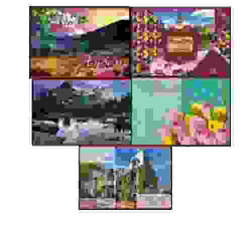 Альбом для рисования A4 40л., обл.картон, офсет 100г/м2, скрепка, 5 дизайнов, С0220-44/43/45/35/36