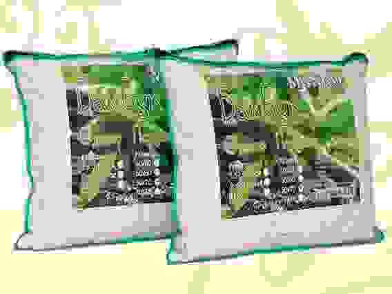 Подушка Бамбук 60*60 Тик (100% хлопок, 2-х камерная, вес 0,8 кг, конверт)