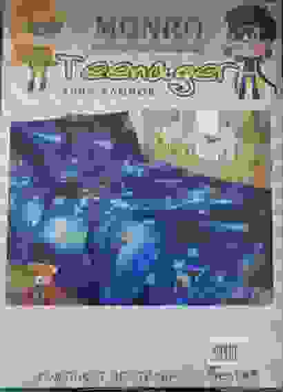 КПБ Поплин Тинейджер