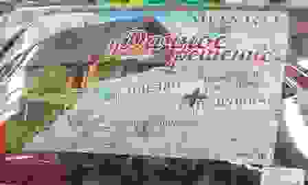 Комплект Дача (одеяло синтепон 100гр 1,5сп+ подушка полиэфир 50*70)