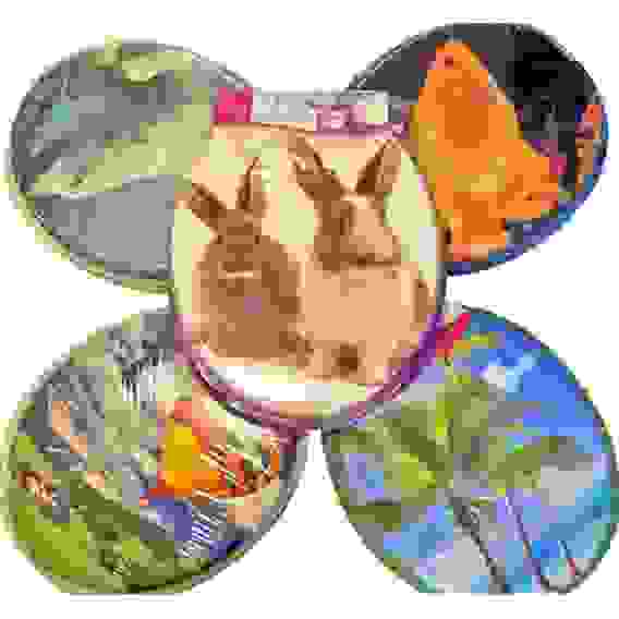 Крышка для унитаза мягкая \"Prima Vanna\" фотопринт 1/16