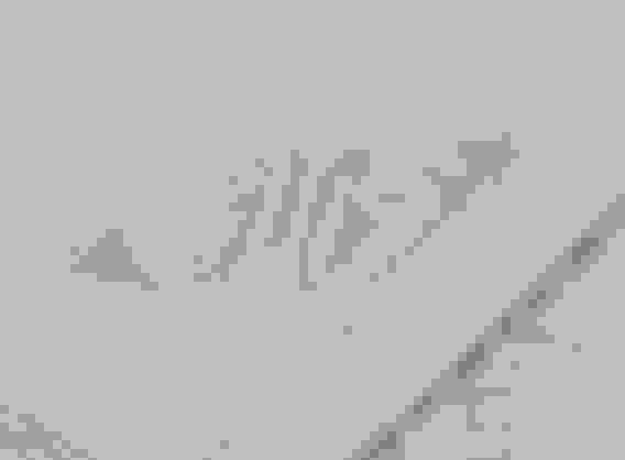 Крючок для штор пластик гвоздик с замком 25х12х12мм белый (упак 20шт цена за упак)