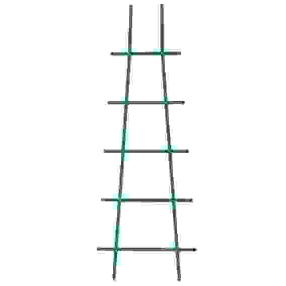 Опора для комнатных растений зеленый