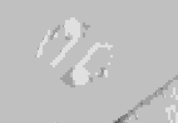 Крючок для штор пластик ролик с замком 27х11х9мм белый 3579141