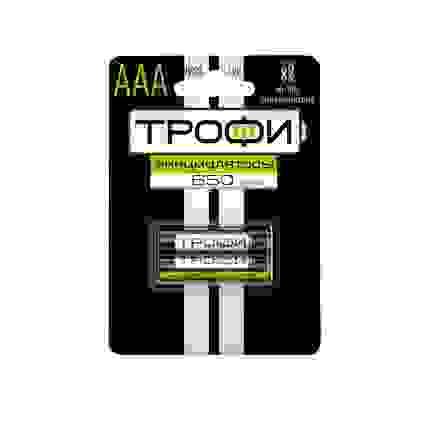Батарея аккумуляторная Трофи HR03 650 mAh