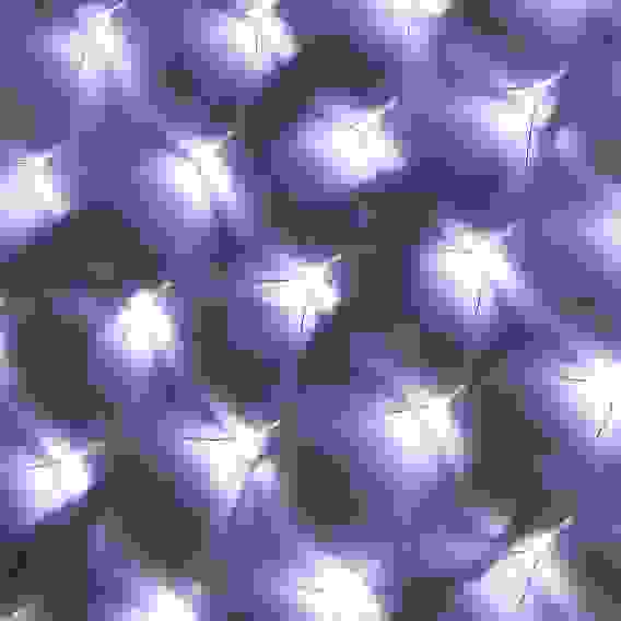 Гирлянда электрическая Сетка, 144LED 1,6x1,6м белая, 8 режимов, прозрачный провод, 220В