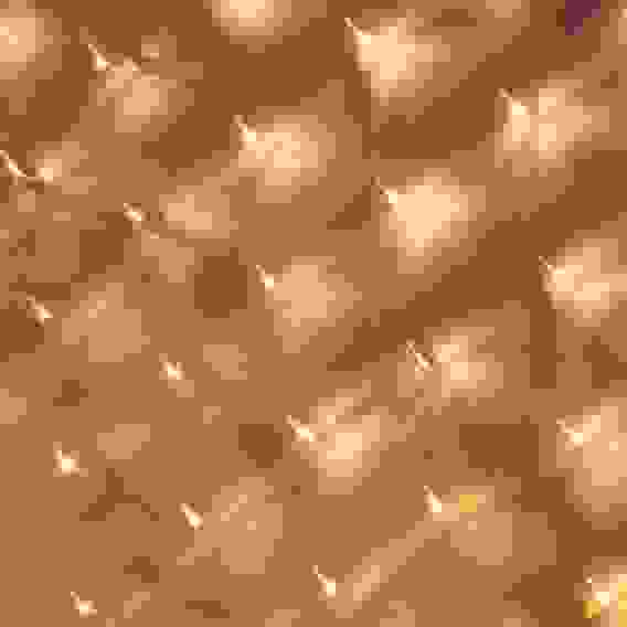 Гирлянда электр. сеть 224LED, 2x2м, шампань, пост.свечение, прозр.провод, 220В СНОУ БУМ