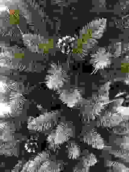 Елка искусственная &quot;Елизавета заснеженная с шишкой&quot; - 180 (7 рядов, 427 веточек)