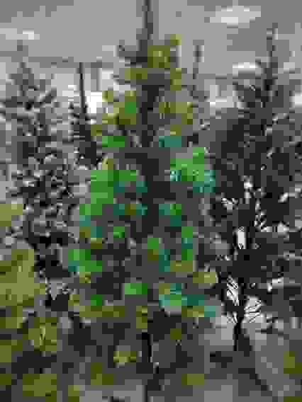 Елка искусственная &quot;Пушистая&quot; - 150 (5 рядов, 207 веточек)