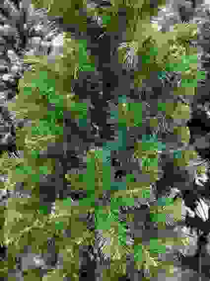 Елка искусственная &quot;Пушистая&quot; - 210 (8 рядов, 423 веточки)