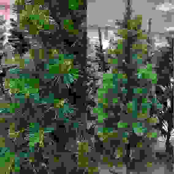 Елка искусственная &quot;Пушистая&quot; - 210 (8 рядов, 423 веточки)