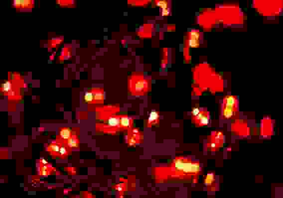 Гирлянда SL 300-2,4-2R д/улицы 2,4*2м 300ламп красный