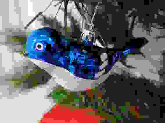 Елочное украшение &quot;Птица&quot;, 12 см. (04 цвет: синий.)