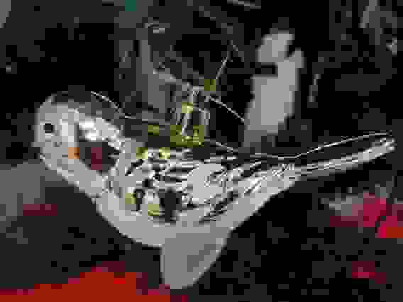 Елочное украшение &quot;Птица&quot;, 12 см. (01 цвет: золото.)