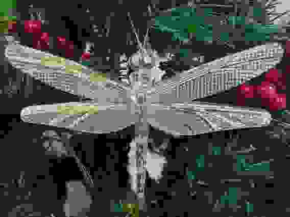 Ел. украш. Стрекоза арт. BW16251-B золото