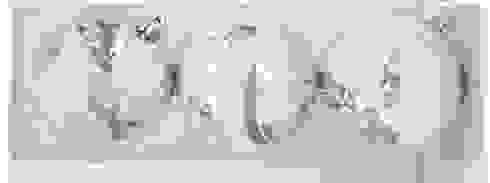 Набор елочных шаров &quot;Блестящие снежинки&quot;, 3 шт, d 8 см. Цвет: серебро