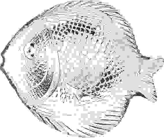 Тарелка рыба закаленная SL(196мм*160мм) со стикером 10256 TMP SL/St Marine\"