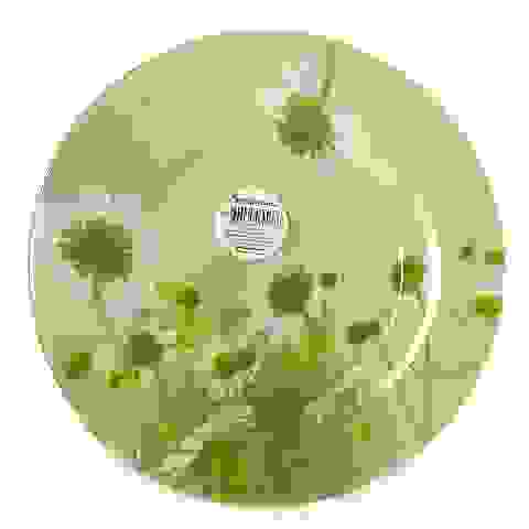 Тарелка десертная (d-195мм) D 28238 SL 10327 D 28238 SL Camilla\&quot;