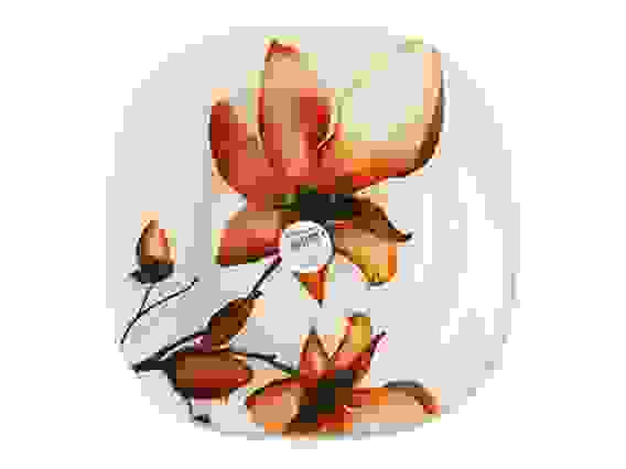 Тарелка суповая закалённая (d-215мм) SL D28607 10496 D 28237 SL Exotic\"