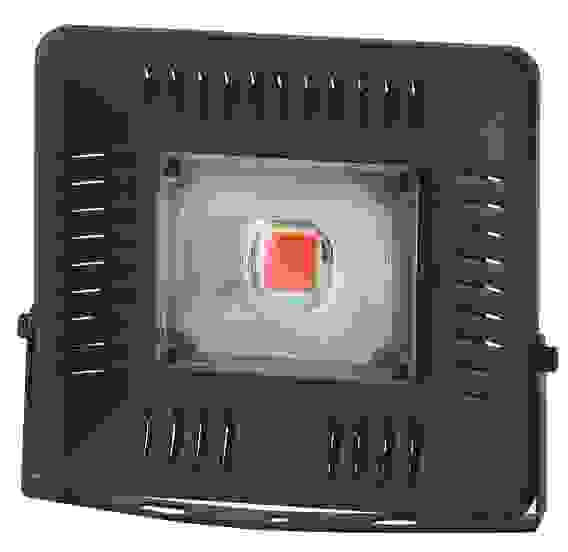 Прожектор ЭРА FITO-50W-LED Bluered