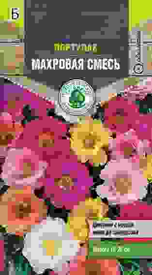 Семена Тимирязевский питомник цветы статица Радужная смесь 0,1 г