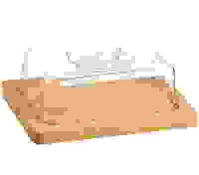 Акция!Блюдо с/кр бамбук (20*15*1,5+ крышка 17*12*6см)