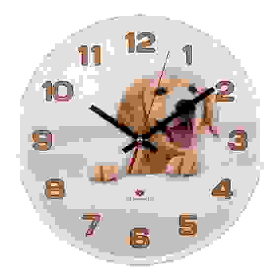 Часы настенные круг d=25см, основание белое \"Золотистый ретривер\" \"Рубин\"