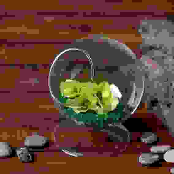 Флорариум «Шар»