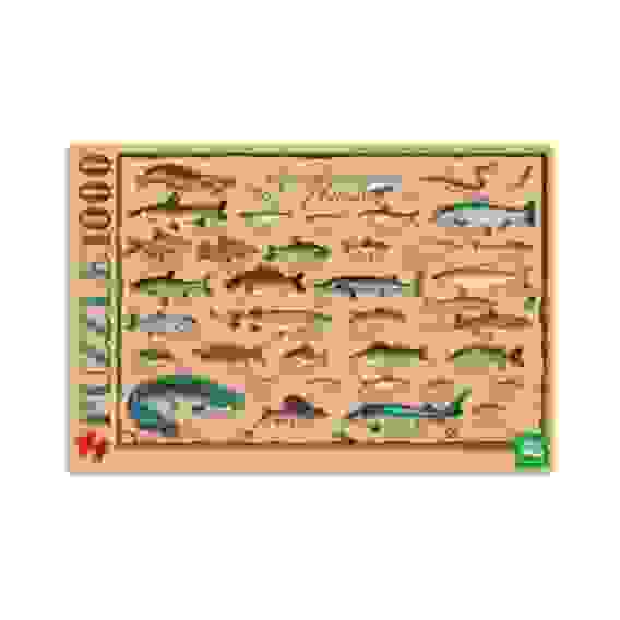 ПАЗЛЫ-ИГРА 1000 элементов А2ф 680Х450ММ КРАФТ ЭКО-РЫБАЛКА-(Пресноводные рыбы России)-