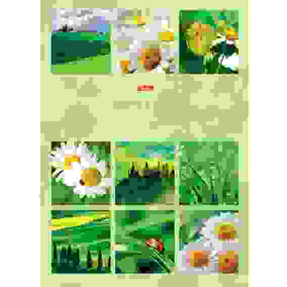 Бизнес-блокнот 80л А4ф 210х290мм 5-цв. блок клетка тв.переплет мат.ламин, выб УФ лак