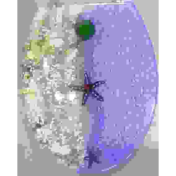 АКЦИЯ! Крышка для унитаза "ZALEL" Aqua R-8598