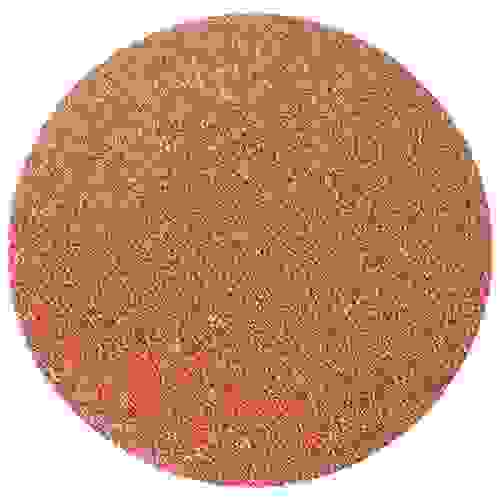 Круг абразивный на ворсовой подложке под &quot;липучку&quot;, P 60, 125 мм, 10 шт.// Сибртех