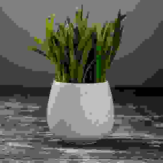 Кашпо керамическое \&quot;Круглое\&quot; 8*8*8 см.МИКС 3931931