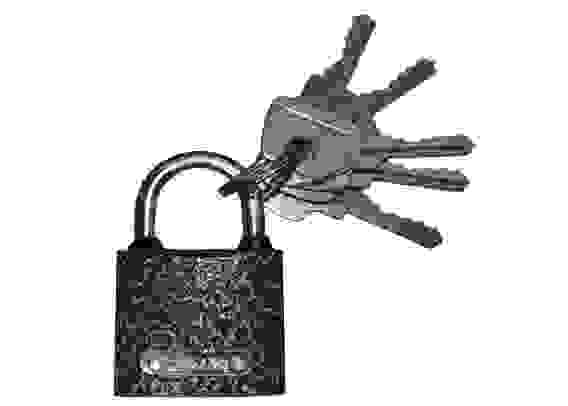 Замок навесной LIVGARD PL-1-32 5кл