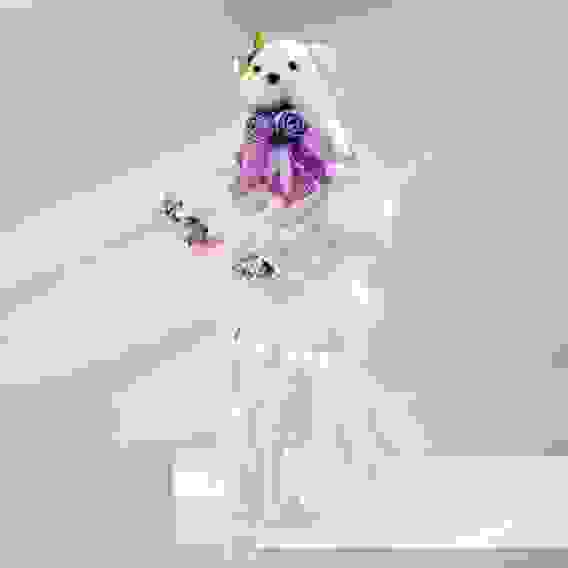 Букет с мишкой &quot;Для тебя&quot; 9 цветов, белый 1184556