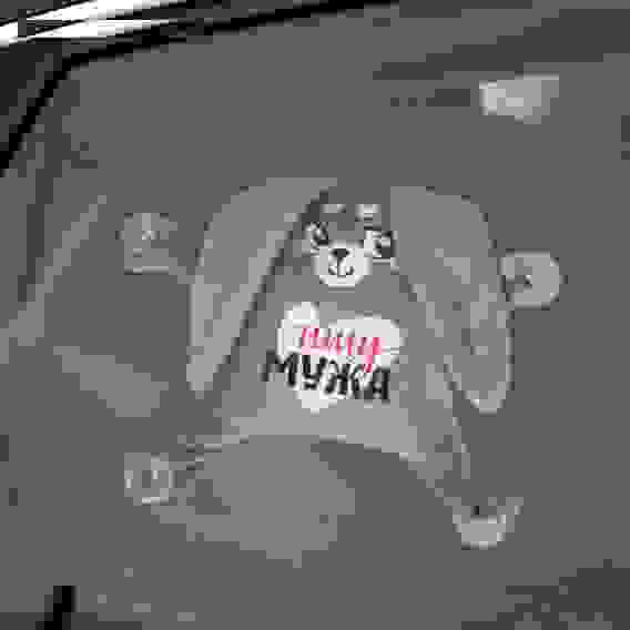 Автоигрушка на присосках &quot;Ищу мужа&quot;, зайка 4483714