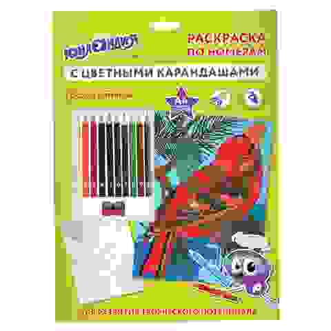 Раскраска по номерам А4, ЮНЛАНДИЯ "ПТИЧКА", С ЦВЕТНЫМИ КАРАНДАШАМИ, на картоне, 661607