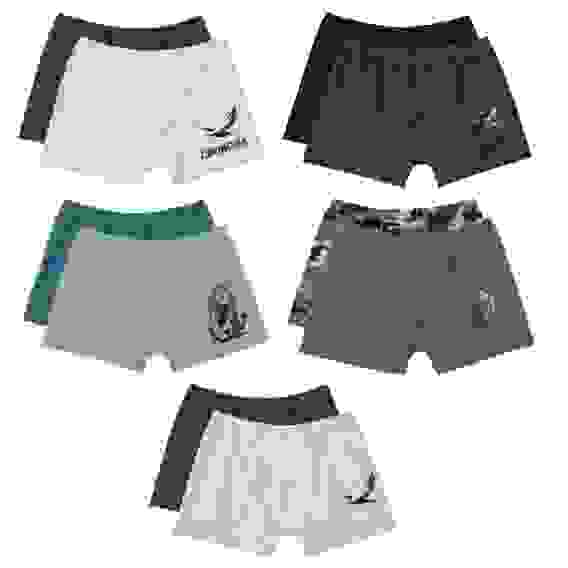 Набор трусов 2шт, боксеры мужские, 100% хлопок, р-р 48-54, 4 принта GALANTE