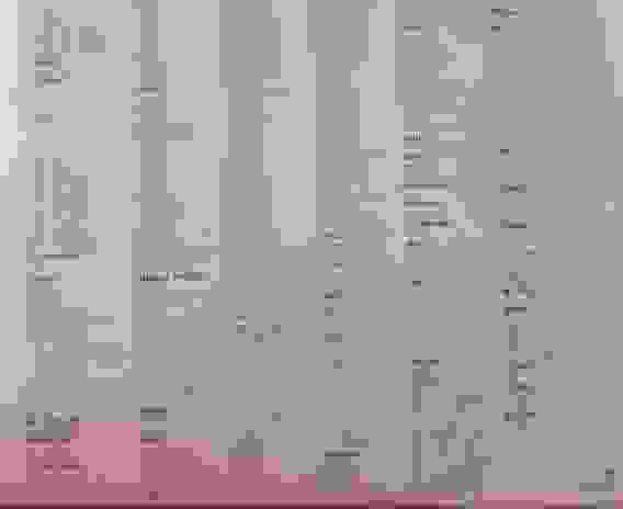 Фильтр-мешки для пылесоса синтетич. 067/5 D067STMC3WA, 76л.