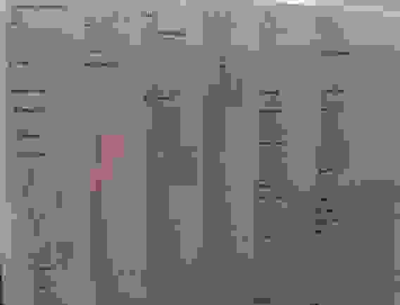 Фильтр-мешки для пылесоса синтетич. 067/5 D067STMC3WA, 76л.