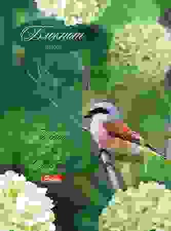 Бизнес-блокнот 80л А6ф клетка тв.переплет Маленькая птичка